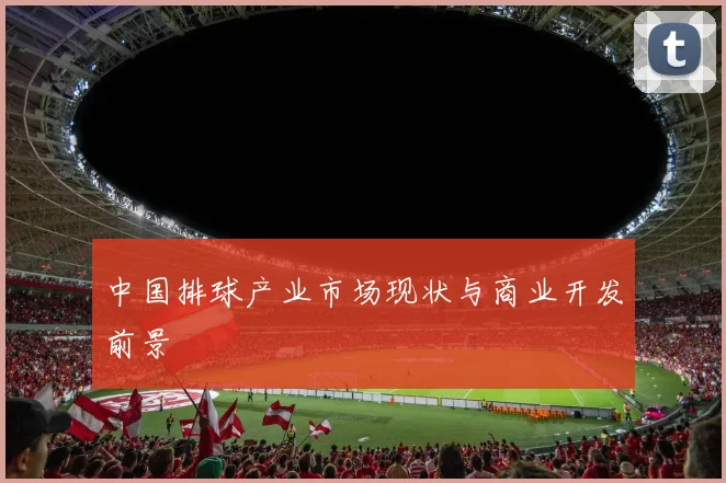 中国排球产业市场现状与商业开发前景
